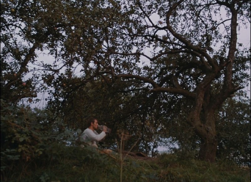 Иллюстрация 1