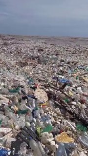 Масса пластика в океане превысит массу рыб к 2050 году