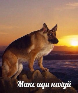 Иллюстрация 2