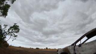 Иллюстрация 1