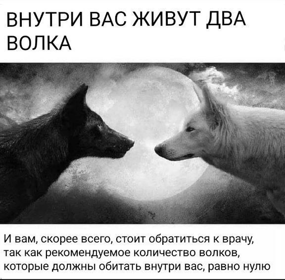 Иллюстрация 2