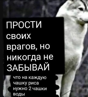 Иллюстрация 3