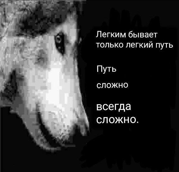 Иллюстрация 4