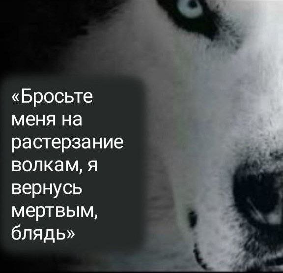 Иллюстрация 5