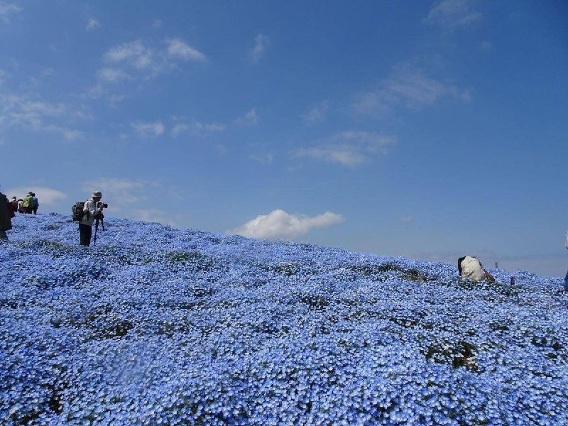 Иллюстрация 4