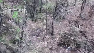 Уничтожение станции РЭБ ВСУ на окраине села Липцы Харьковской области