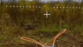 Десантники 83-й ДШБ уничтожили танк Т-64 и живую силу ВСУ в Сумской области