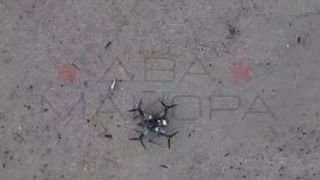 Десантники на Запорожском фронте продемонстрировали использование дронов для защиты штурмовых групп