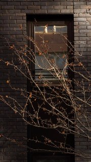 Иллюстрация 7