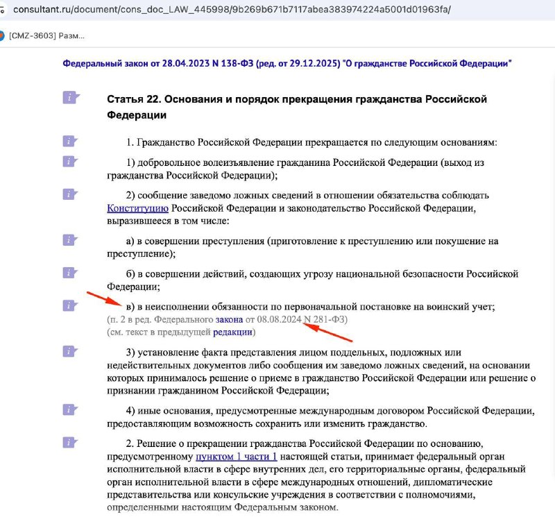Из Госдумы отозван законопроект, упрощающий лишение гражданства за уклонение от воинского учёта