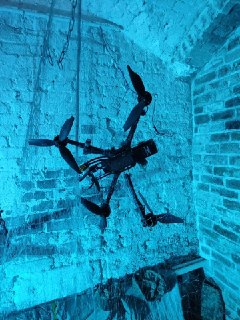 Иллюстрация 5