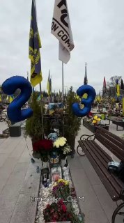 Иллюстрация 5