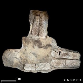 В Египте нашли мумию с фрагментом «Илиады»