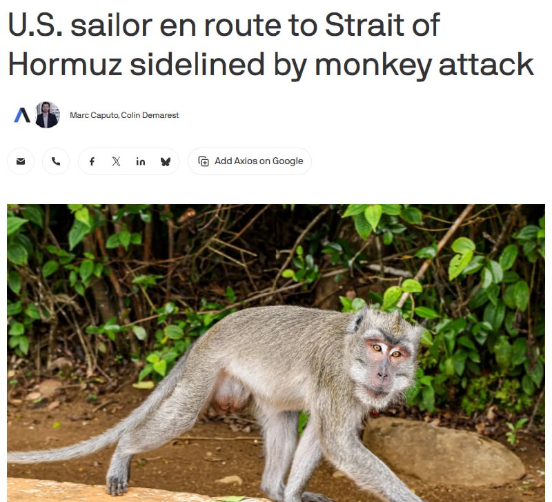 Американского моряка эвакуировали из Таиланда после нападения обезьяны