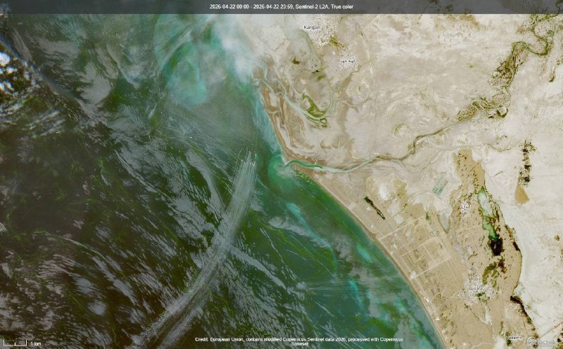 Иллюстрация 4