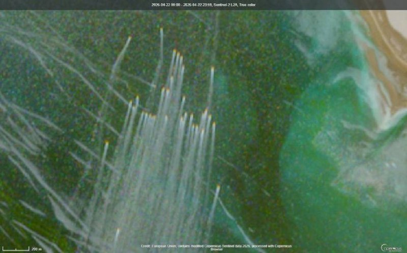 Иллюстрация 5