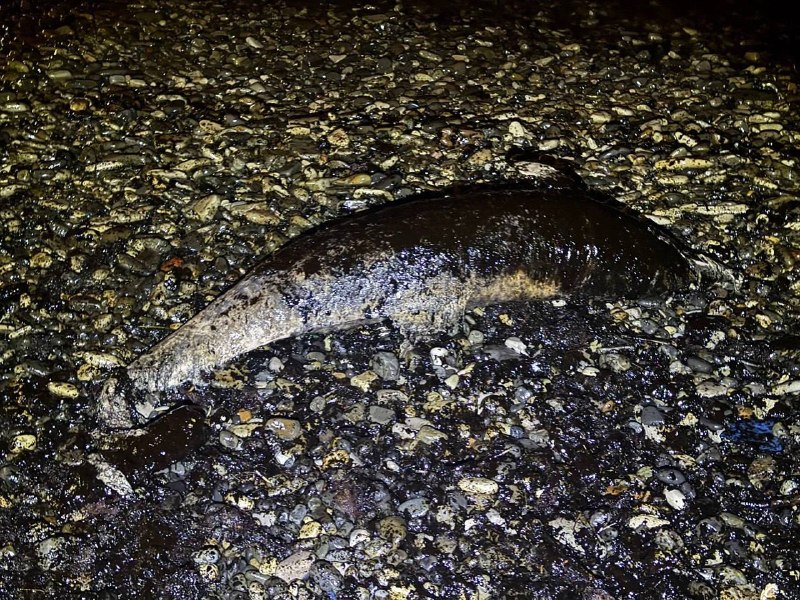 Иллюстрация 3