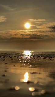 Призыв к помощи и пожелание спокойной ночи бойцам на фронте