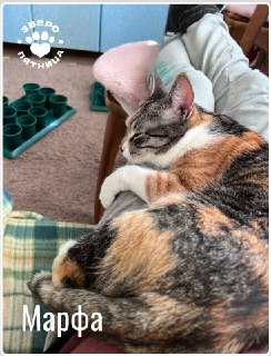 Иллюстрация 7