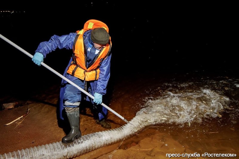 Иллюстрация 2