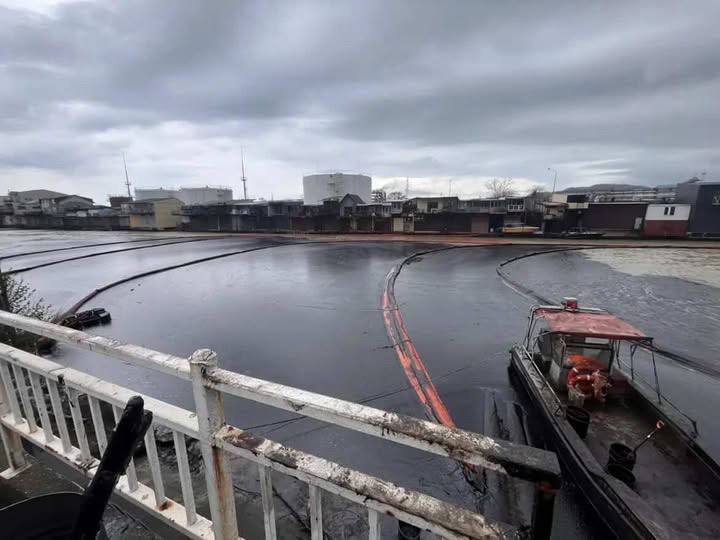 Экологическая катастрофа в Туапсе