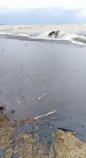 Иллюстрация 2