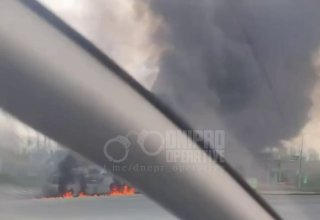 Иллюстрация 1