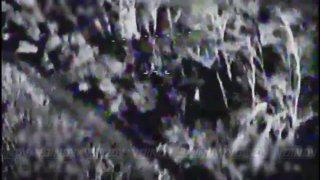 В Запорожской области ликвидирована группа пехоты ВСУ