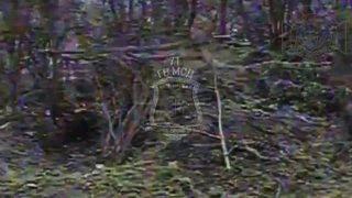 Бои в Волчанском районе: уничтожение вражеской РСЗО "RAK-Sa 12"