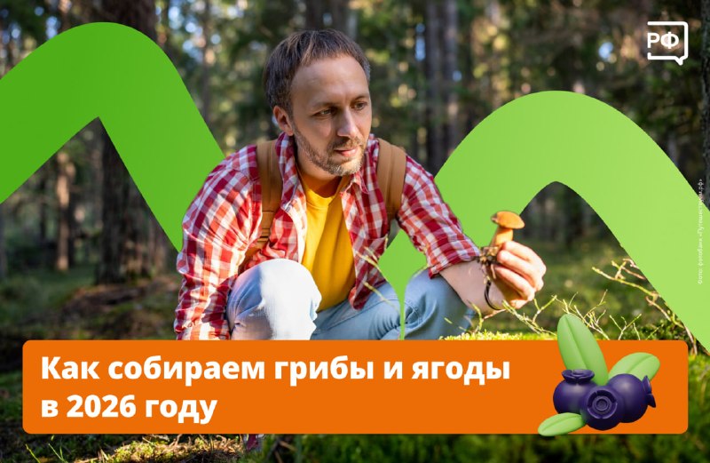 Иллюстрация 1