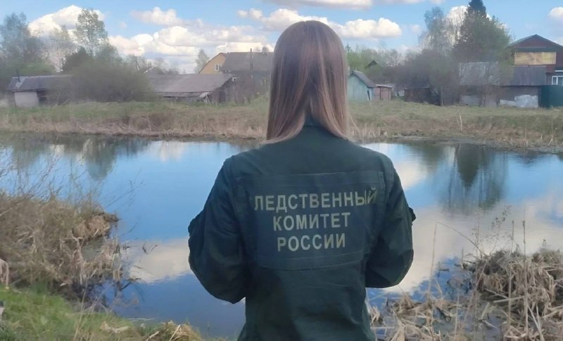 Иллюстрация 1