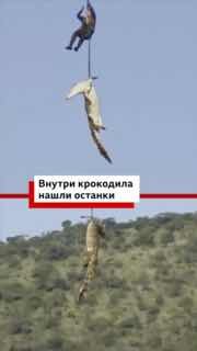 Иллюстрация 1