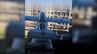 Иллюстрация 1