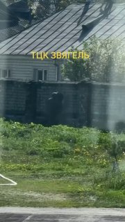 В Житомирской области зафиксирован конфликт между сотрудником ТЦК и мужчиной