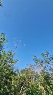 Над позициями российских бойцов запечатлен салют