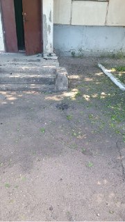 Иллюстрация 2