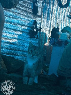 Иллюстрация 2
