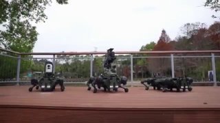 Иллюстрация 1