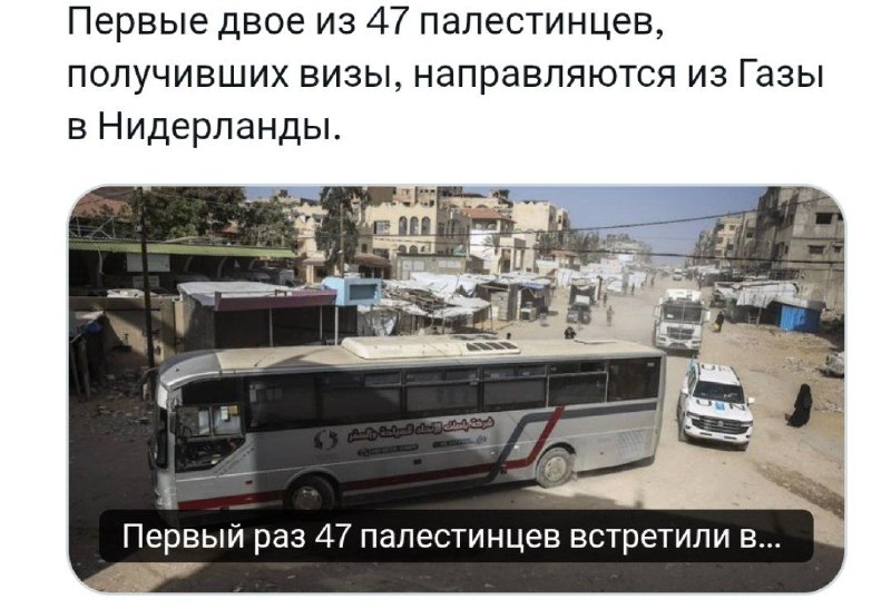 Иллюстрация 1