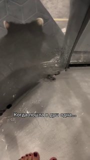 Иллюстрация 1
