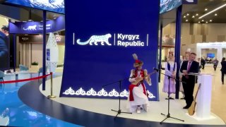Иллюстрация 1
