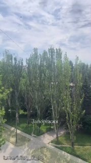 Иллюстрация 4
