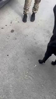Обсуждается способ избежать встречи с ТЦК на фронте