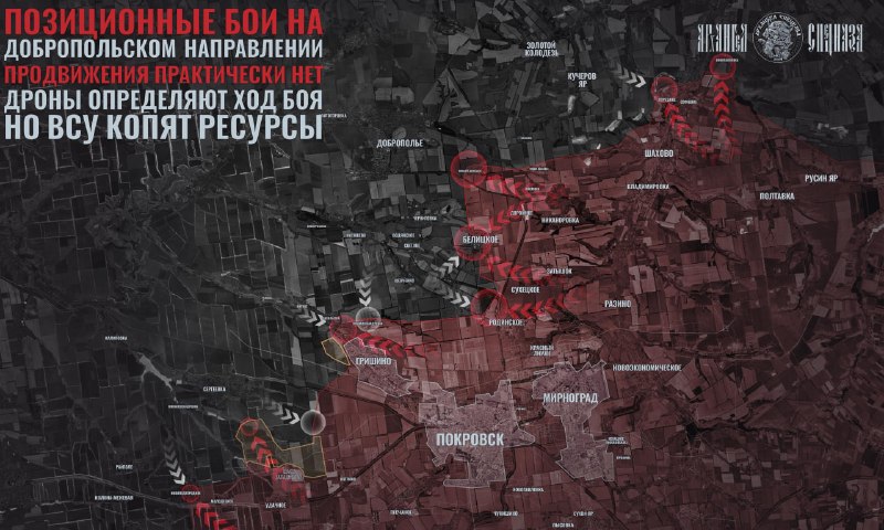Позиционные столкновения на Добропольском направлении