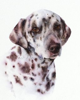 Иллюстрация 4