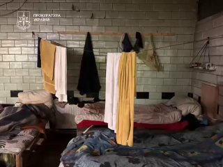 В Киеве владельцы пилорамы держали бездомных в рабстве