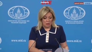 Мария Захарова сообщила о 43 погибших и 234 пострадавших в результате ударов ВСУ за неделю