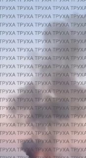 Иллюстрация 4