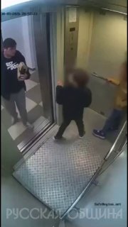 В Подмосковье мигранты из Таджикистана оскорбили русских детей