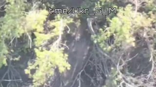 Эффективное взаимодействие артиллерии и FPV-дронов на Славянском направлении